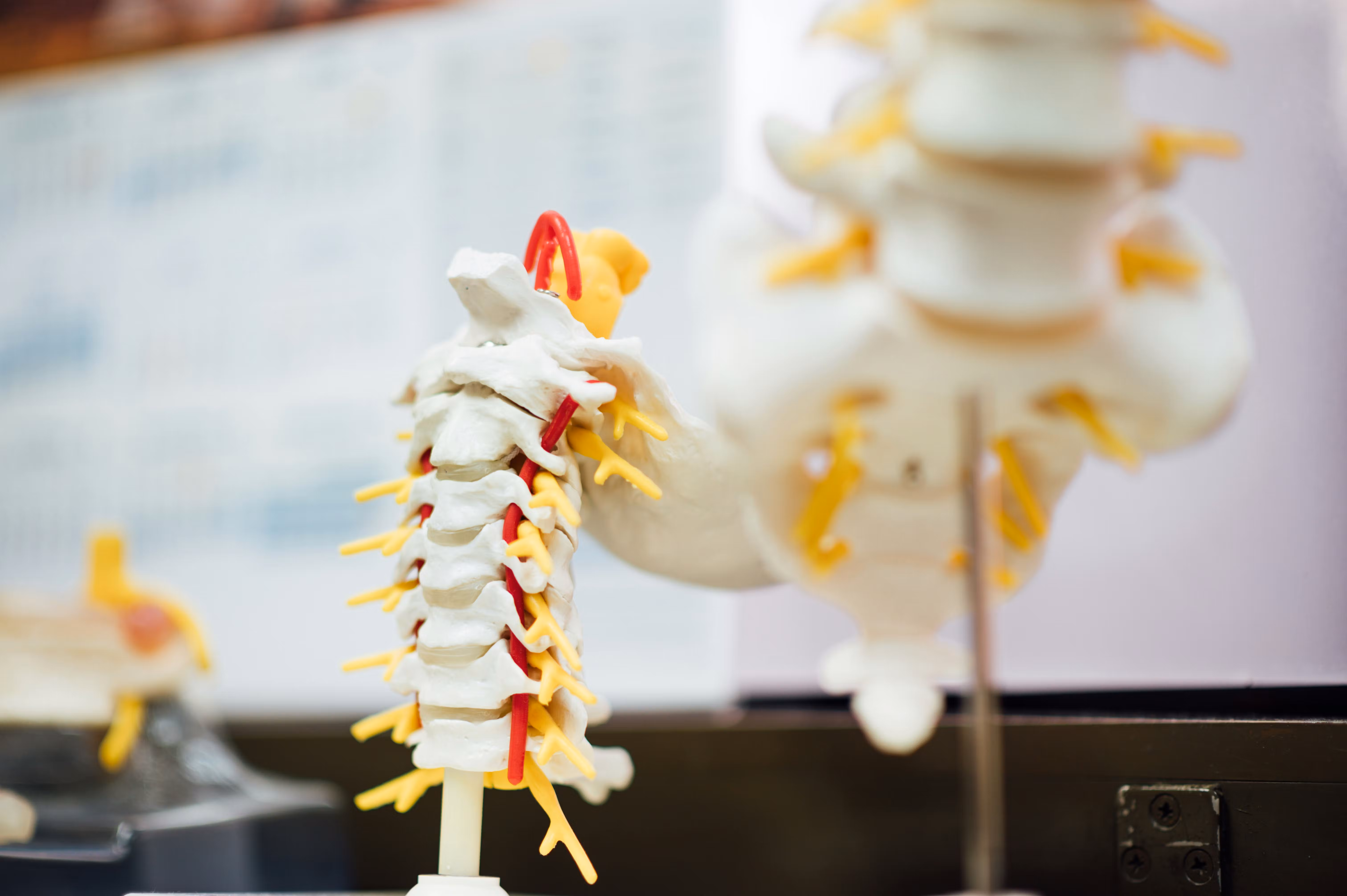 Chiropractor Darlinghurst